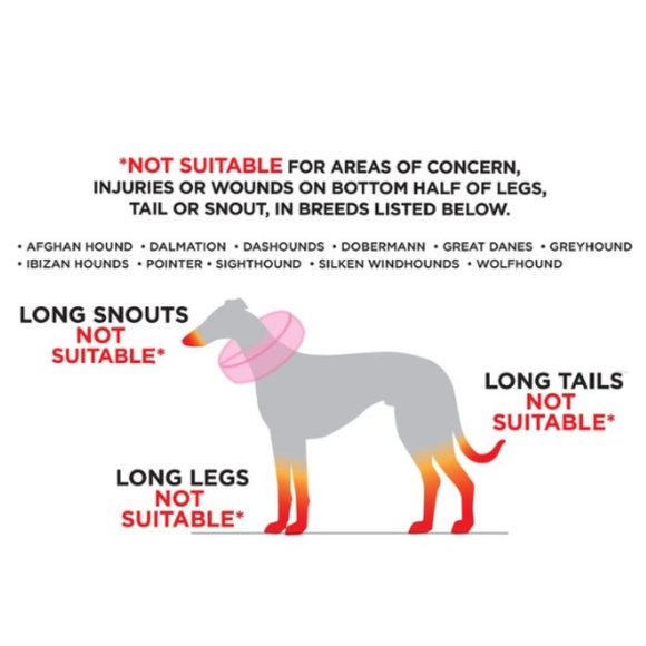 Katoggy Pets Inflatable Recovery Dog Collar - Picture 8 of 10